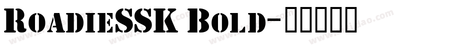 RoadieSSK Bold字体转换